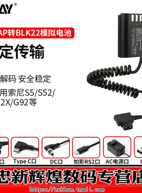 希铁D-TAP转DMW-BLK22模拟假电池适用松下S5/S52/S52X/g92 S1R2 USBC口外接外置相机直播供电源适配器RS2 Pro