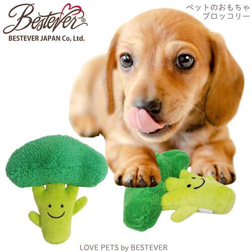 bestever宠物玩具小狗发声玩具菜场花菜/解闷/磨牙bb叫响纸