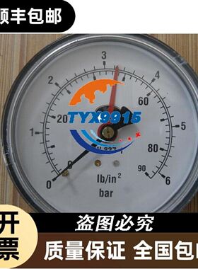 046503 TZ1LE110SR6 安士能 现货