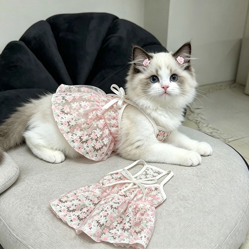 猫咪衣服夏季薄款透气公主裙防掉猫宠物服装/雨衣（新