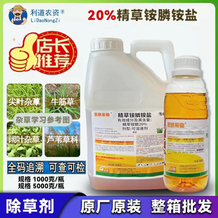 山东圣鹏20精草胺磷胺盐触杀灭生性除草剂杂草内吸作用茎叶喷雾
