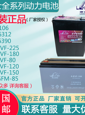 理士动力全系列EVF系列 DT106观光车 3-EVF-225 EV6312 6-GFM-125