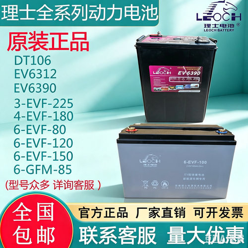 理士动力全系列EVF系列 DT106观光车 3-EVF-225 EV6312 6-GFM-125