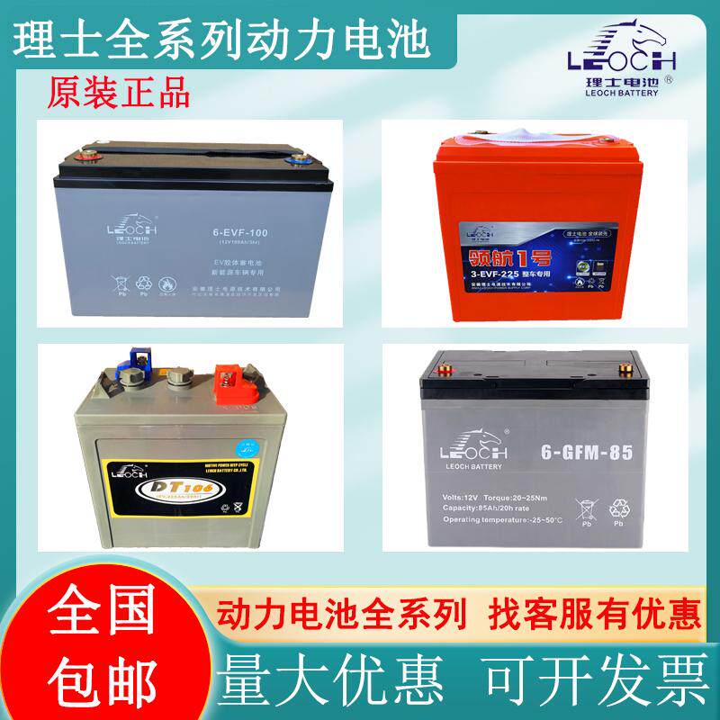 理士动力全系列EVF系列 DT106观光车 3-EVF-225 EV6312 6-GFM-125