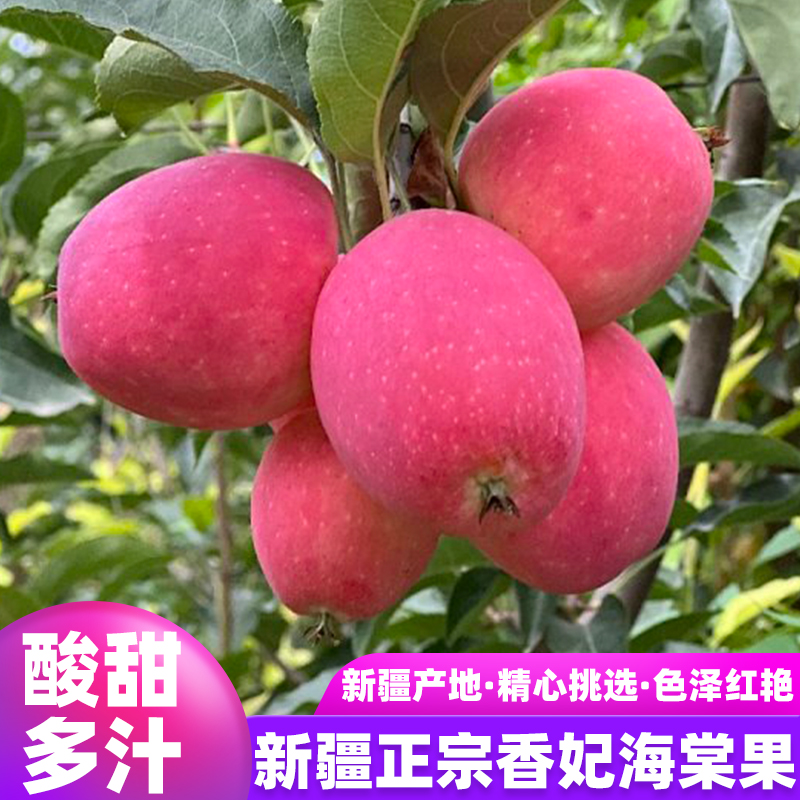 新疆阿克苏香妃海棠果当季脆甜