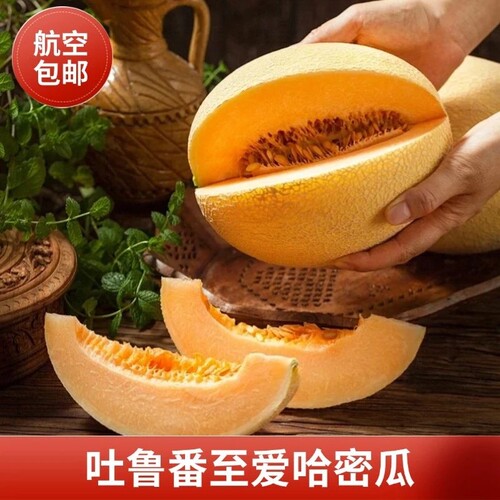 新疆吐鲁番至爱蜜瓜现摘哈密瓜