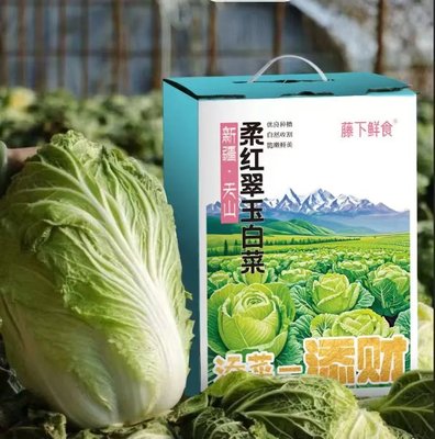 新疆天山翠玉白菜当季霜打大白菜