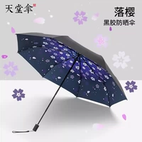 Фиолетовый [сакура] ★ Эффективное охлаждение ★ И дождь, и дождь