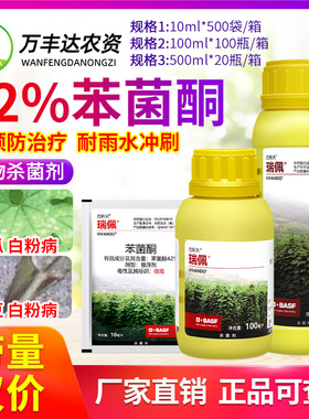 巴斯夫瑞佩英腾 42%苯菌酮蔬菜豌豆白粉病专用预防治疗农药杀菌剂