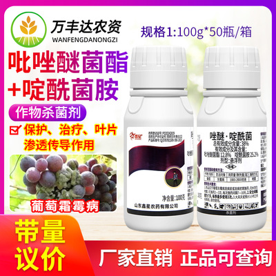 鑫星38%唑醚啶酰菌胺吡唑醚菌酯葡萄灰霉病喷雾治疗农药杀菌剂