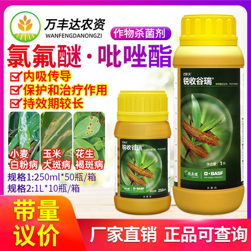 24%氯氟醚吡唑酯白粉病杀菌剂