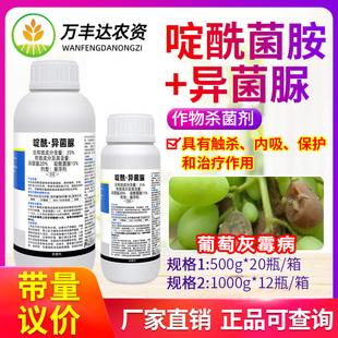 灰谷35%啶酰菌胺异菌脲悬浮剂葡萄灰霉病专用内吸治疗农药杀菌剂