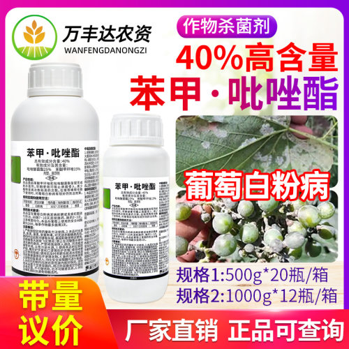 华星40%苯甲吡唑酯醚菌酯脂黄瓜白粉病炭疽病褐叶斑病农药杀菌剂