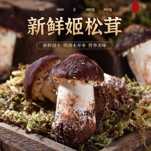 顺丰新鲜姬松茸云南球盖菇巴西菇精选姬松茸菌姬松茸新鲜500g