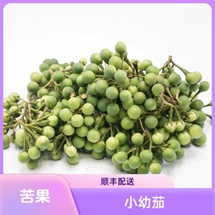 新鲜泰国小圆茄小苦果小泰茄迷你茄子幼茄子绿咖喱青咖喱配料顺丰
