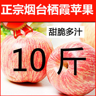 不打蜡 包邮 25新果现摘现发 烟台苹果水果山东栖霞红富士整箱十斤