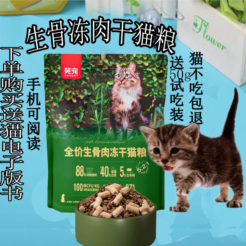 笑宠猫咪吃膨化粮吃少发胖的猫