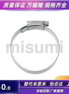 HOSBS9N/13N/16N/19N/22N/25N/28N/31N/38N/44N/50N 不锈钢喉箍