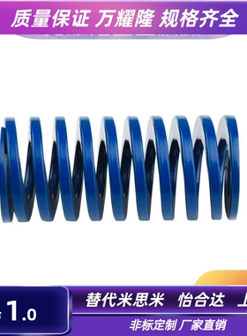 SWL6/8-20/25/30/35/40/45/50/55/60/80 蓝色模具弹簧