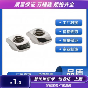 AHC31-206/308/408/4010-M4/M5/M6/M8 替怡合达 不锈钢T型螺母304