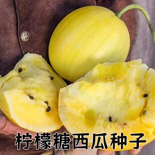 进口柠檬糖西瓜种子 传家宝黄皮黄肉沙瓤小西瓜阳台庭院盆栽花园