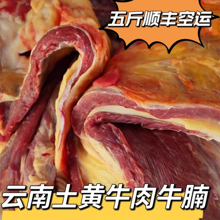 云南鲜牛肉牛腩新鲜顺丰冷冻空运5斤（早上直播代购现挑选）
