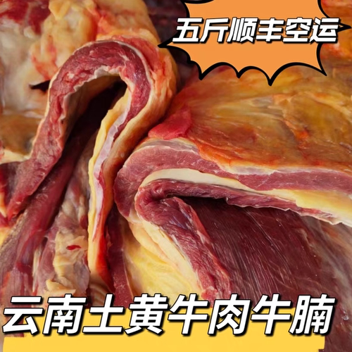 云南鲜牛肉牛腩新鲜顺丰冷冻空运5斤（早上直播代购现挑选）