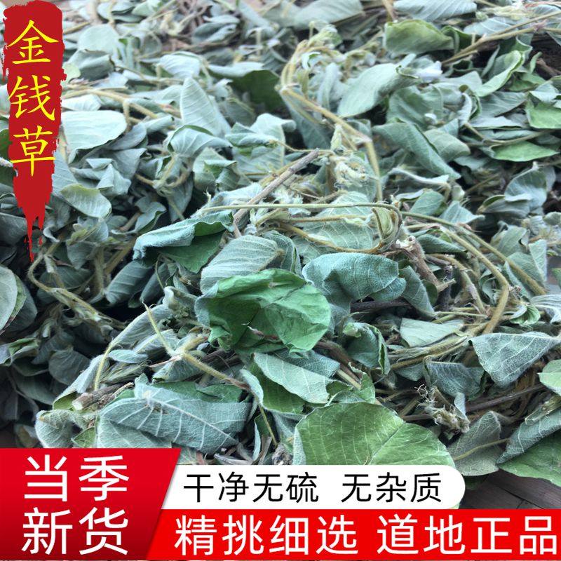 金钱草  广西野生500g包邮新鲜大叶金钱草  广金钱草新货干品,传统滋补营养品,传统滋补品其他,淘宝优惠券,粉丝福利购,淘宝优惠卷