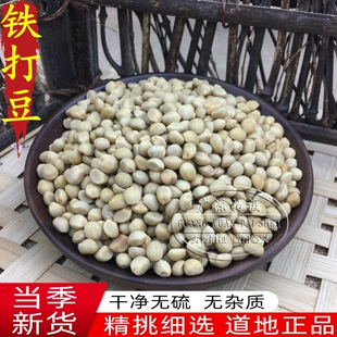铁打豆中药材贼老豆500g包邮拐子豆小偷豆土匪豆金丝指葫芦跌打豆