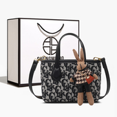 圣米洛通勤手提小包包2026新款 女士小众时尚 百搭帆布单肩斜挎包