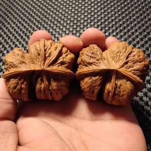 文玩核桃特大连体异形核桃一对把玩天然铁核桃同树双胞胎男士盘玩