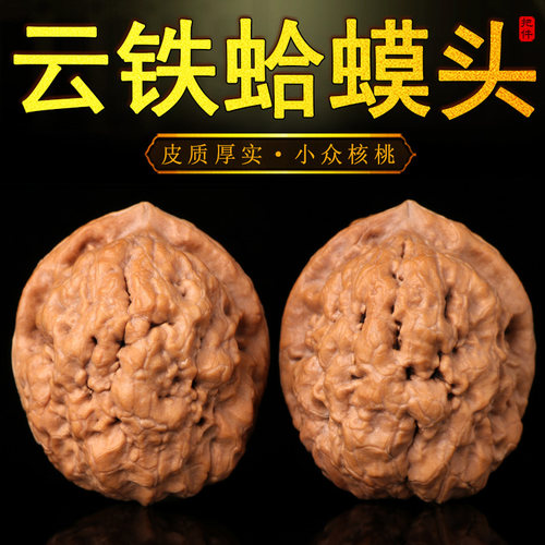 开背文玩野外生云铁蛤蟆头金蟾疙瘩包核桃小手盘捻儿随身把件壁虎