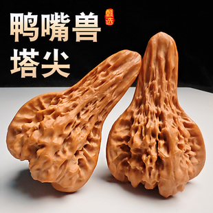 文玩原色鸭嘴兽核桃 天然纹路塔尖异形核桃小众盘玩佳品