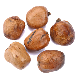 释迦佛心果菩提子原籽金灯空心菩提根打磨项链吊坠成品大果按斤个