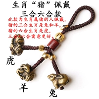 Свинья-санхели шесть-в-бреллятор