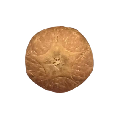 原籽散凤眼菩提子五星上将红皮佛珠串手持单颗佛头三通饰品配件