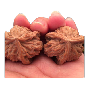 文玩核桃天然三棱大正奔蓟县盘山公子帽野狼半壁江山白狮子古玩男