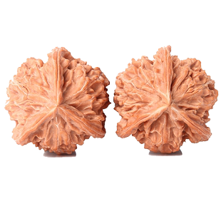 文玩盘山三棱核桃天然生长三道筋正奔手捻精品收藏狮子头异形把件