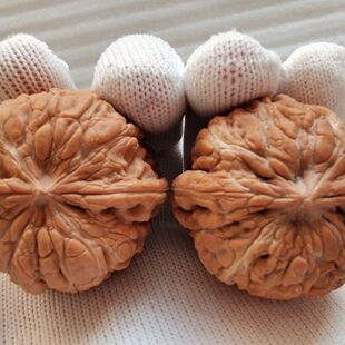 涞水文玩核桃四座楼苹果园闷尖白狮子粗筋门墩磨盘狮子头盘玩把件