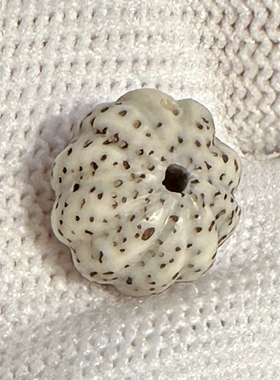 海南星月菩提8X12mm瓜珠正月佛珠手串顺白高密抛光散配件手工文玩