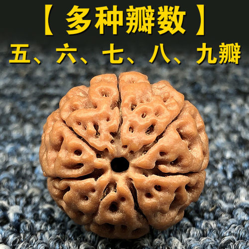 大金刚菩提子原籽七八瓣散珠