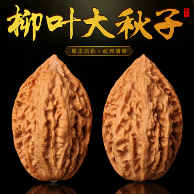 长白山原色柳叶文玩核桃楸子价格