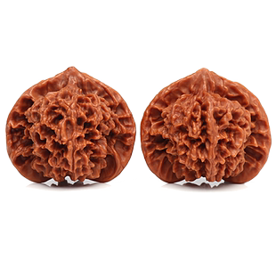 陕西薄棱官帽麒麟纹抛光文玩麻核桃把玩大尺寸50mm以上男女手把件