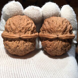 文玩核桃将军膀云南野生铁核桃鸡心把玩原色无修收藏手把件盘玩