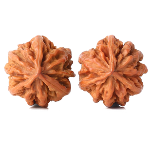 文玩核桃野外生三棱小秋子异形手捻三道筋正奔核桃随身手把件盘玩