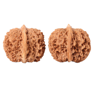 文玩麻核桃中国大花大刺男把件天然野外生狮子头灯笼元宝扎手粗筋