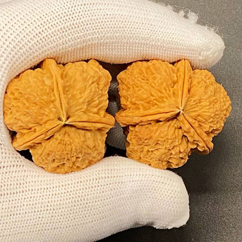 三棱核桃云铁系列异形手把非文玩