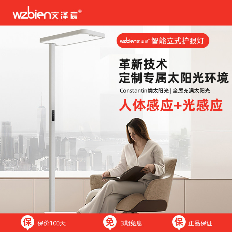 文泽宸WZBEIN落地护眼灯儿童学生学习护眼灯阅读灯钢琴灯学习书桌