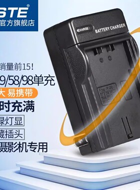 蒂森特VW-VBD29 适用于松下MDH2GK MDH3 PV100 CX200 X1500 X2000 UX90/180 PX298MC摄像机电池充电器VBD29