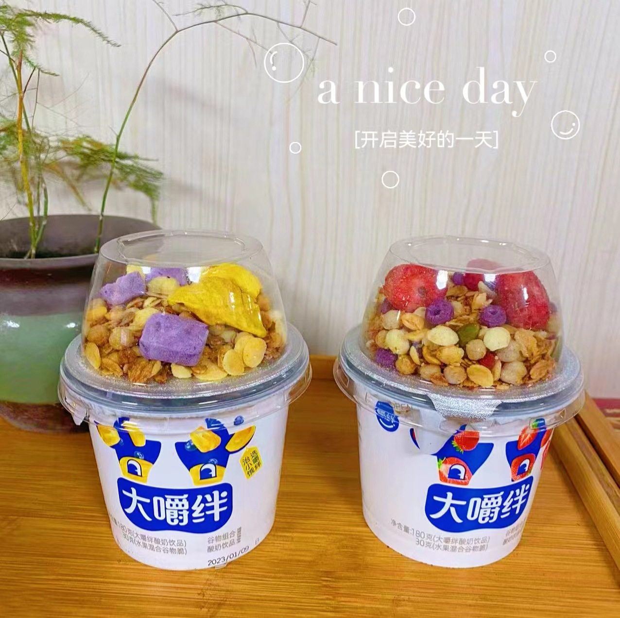 大嚼绊谷物组合酸奶益生菌儿童早餐营养养胃食品嚼拌酸奶嚼拌零食